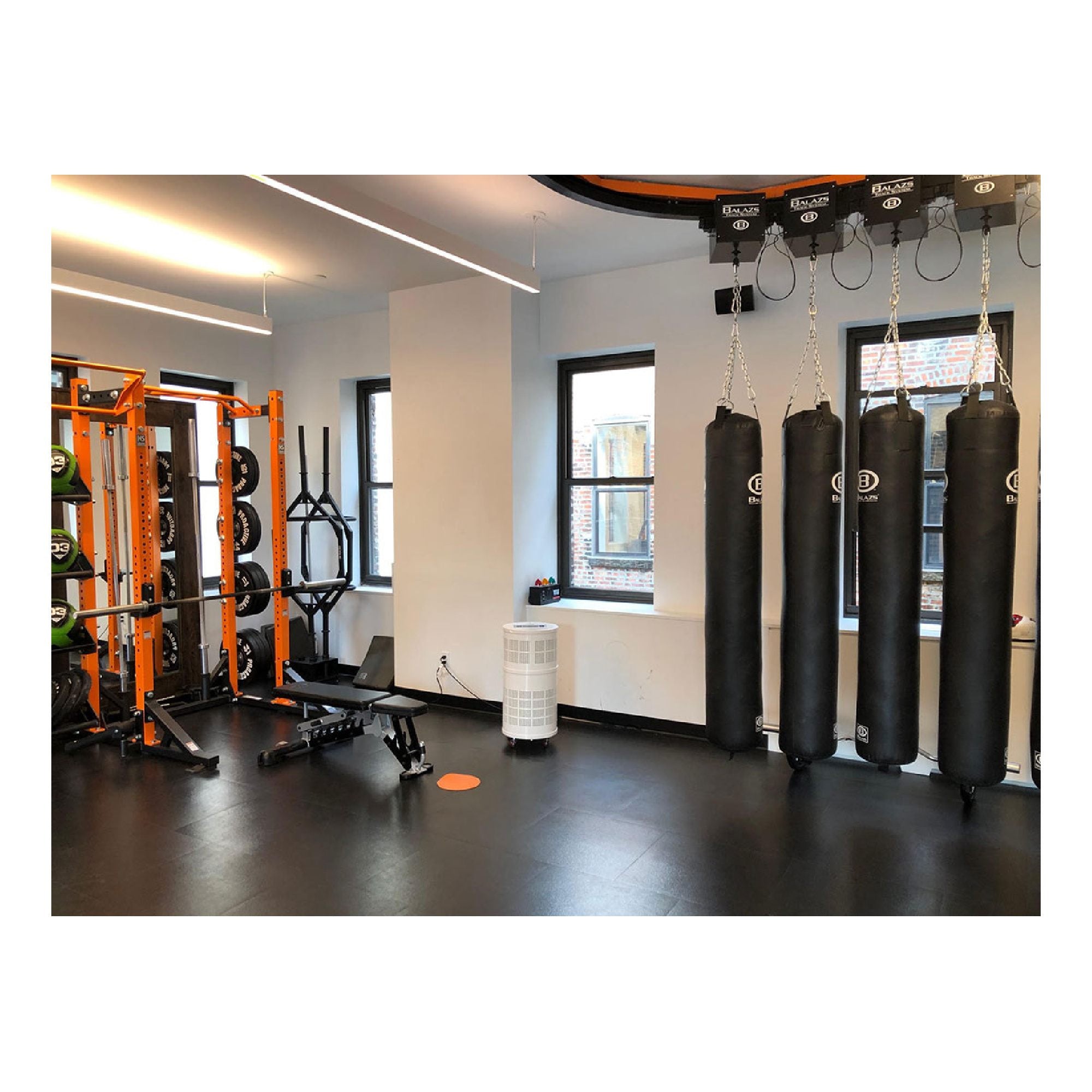 Rensair Hospital Grade HEPA Air Purifier Gym