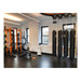 Rensair Hospital Grade HEPA Air Purifier Gym